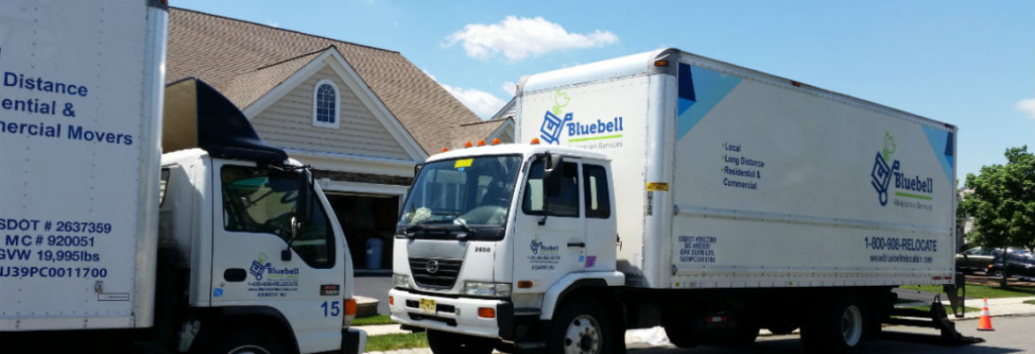 Bluebell Relocation Services