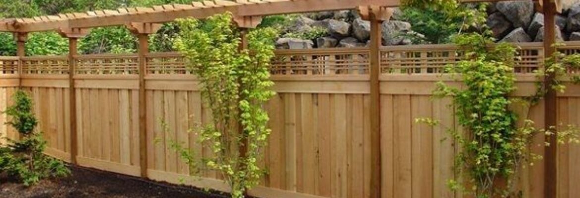 DFW Fence And Arbor Pro