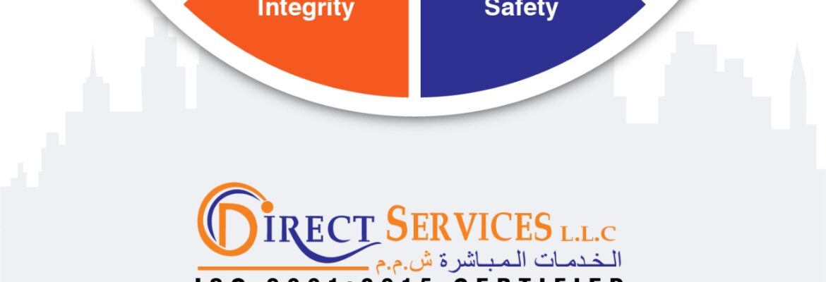 Direct Services LLC